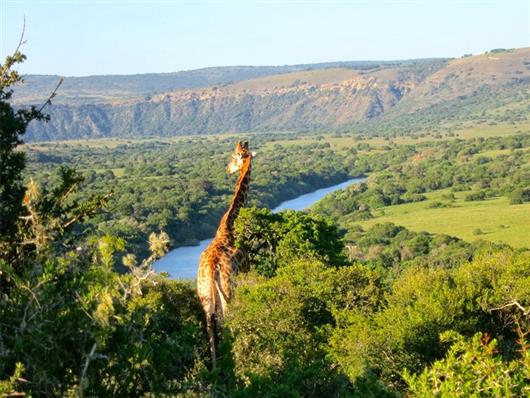 Hlosi Game Lodge